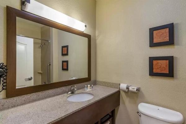 Comfort Suites Montgomery East Monticello Dr. image 24