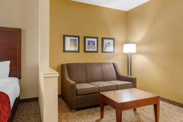 Comfort Suites Montgomery East Monticello Dr. image 28