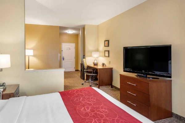 Comfort Suites Montgomery East Monticello Dr. image 29