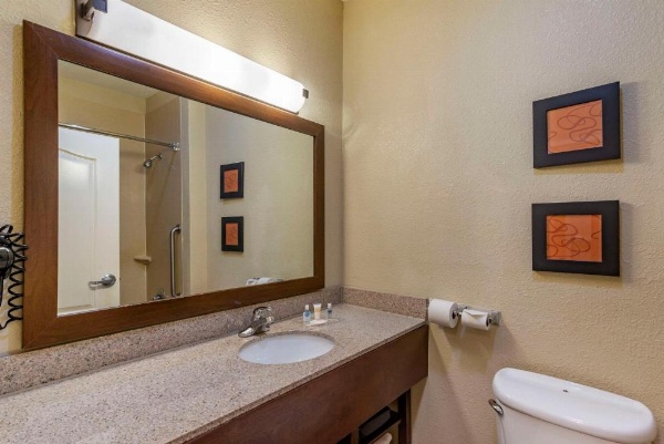 Comfort Suites Montgomery East Monticello Dr. image 36